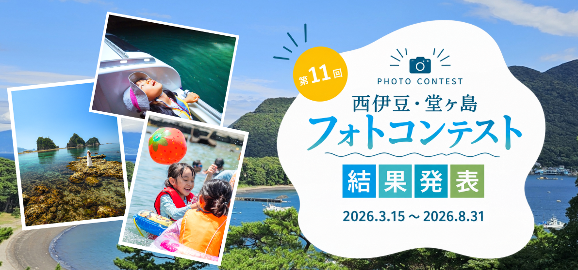 第11回結果ページ
