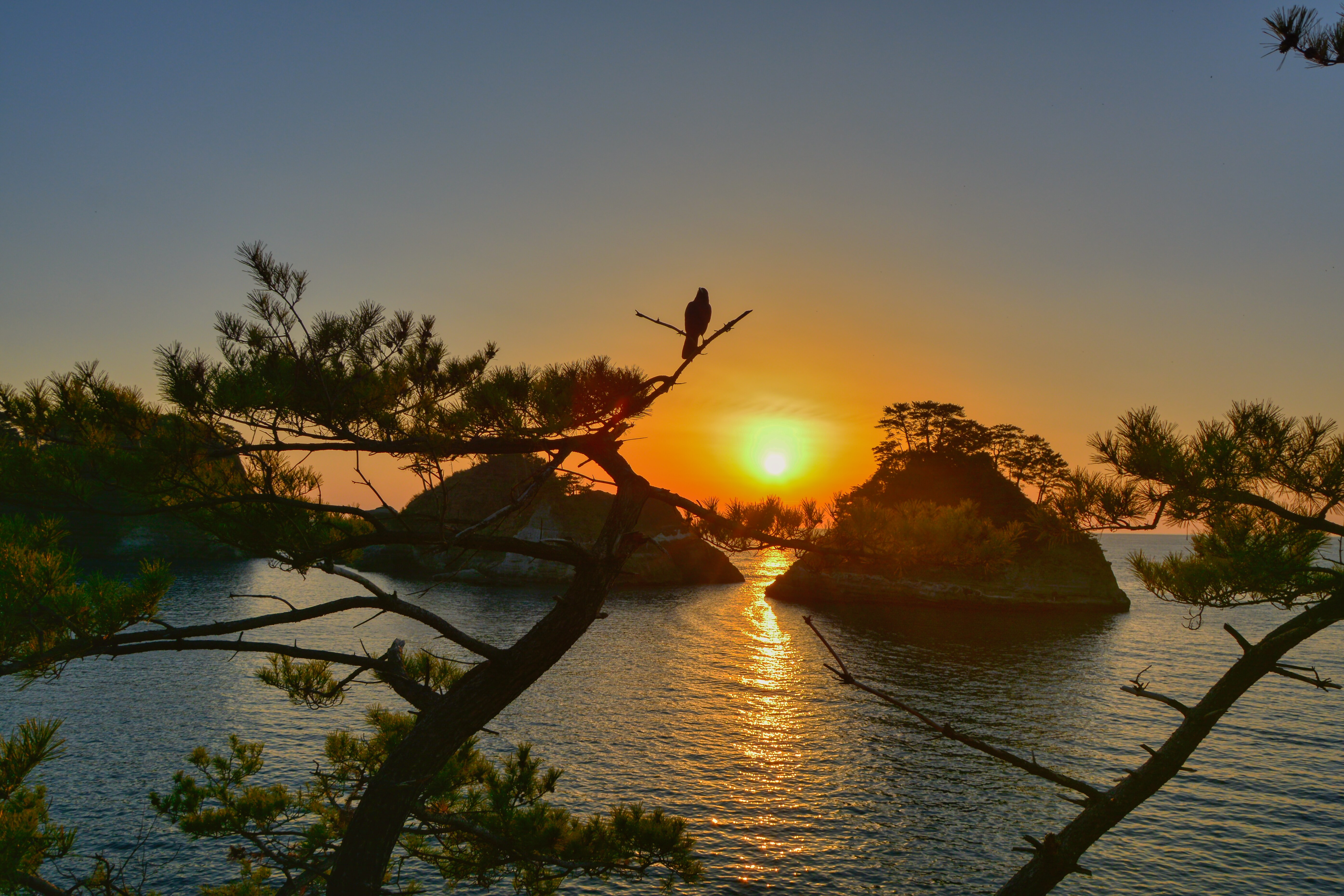 写真詳細 PHOTO DETAIL