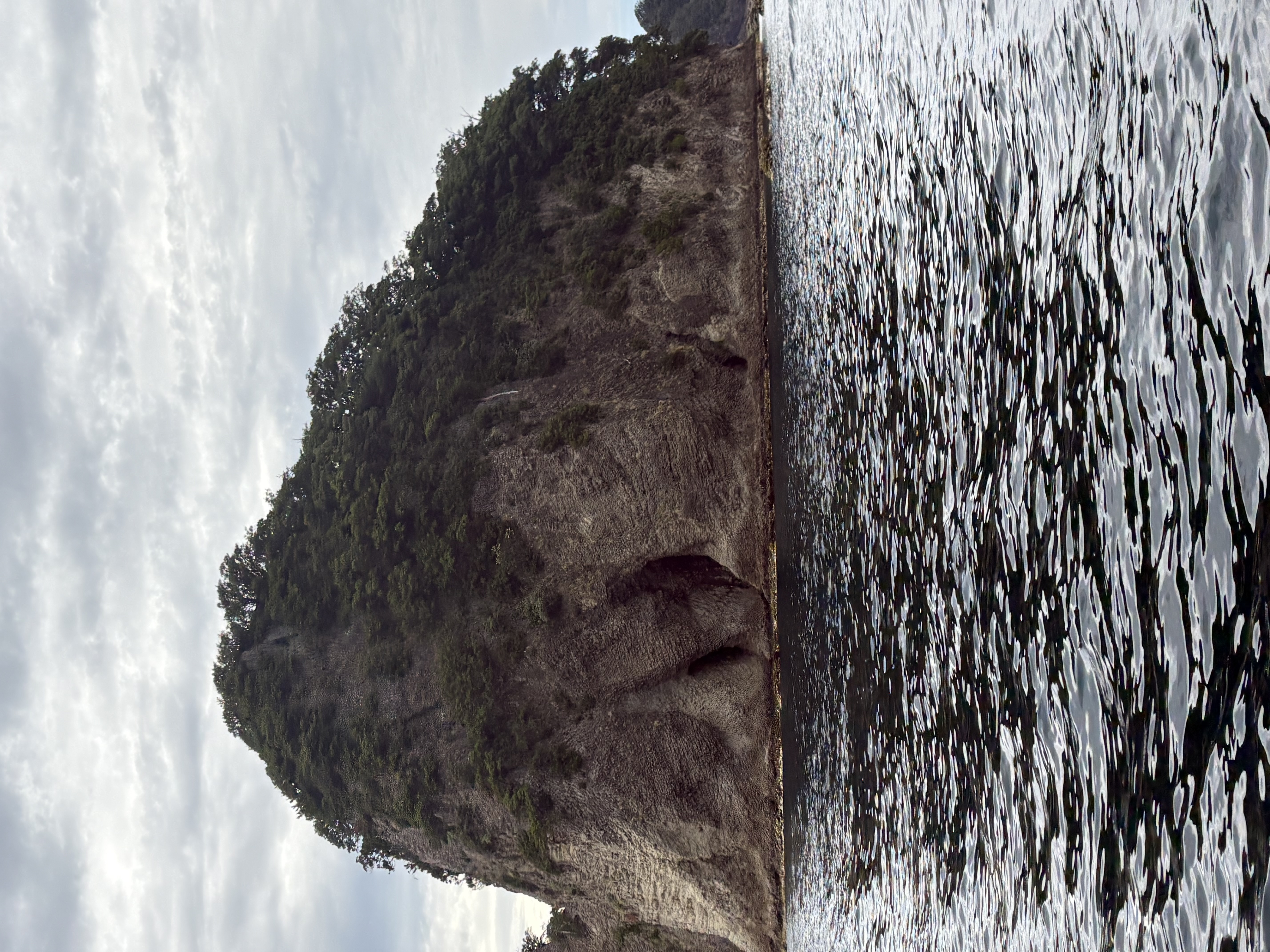 写真詳細 PHOTO DETAIL