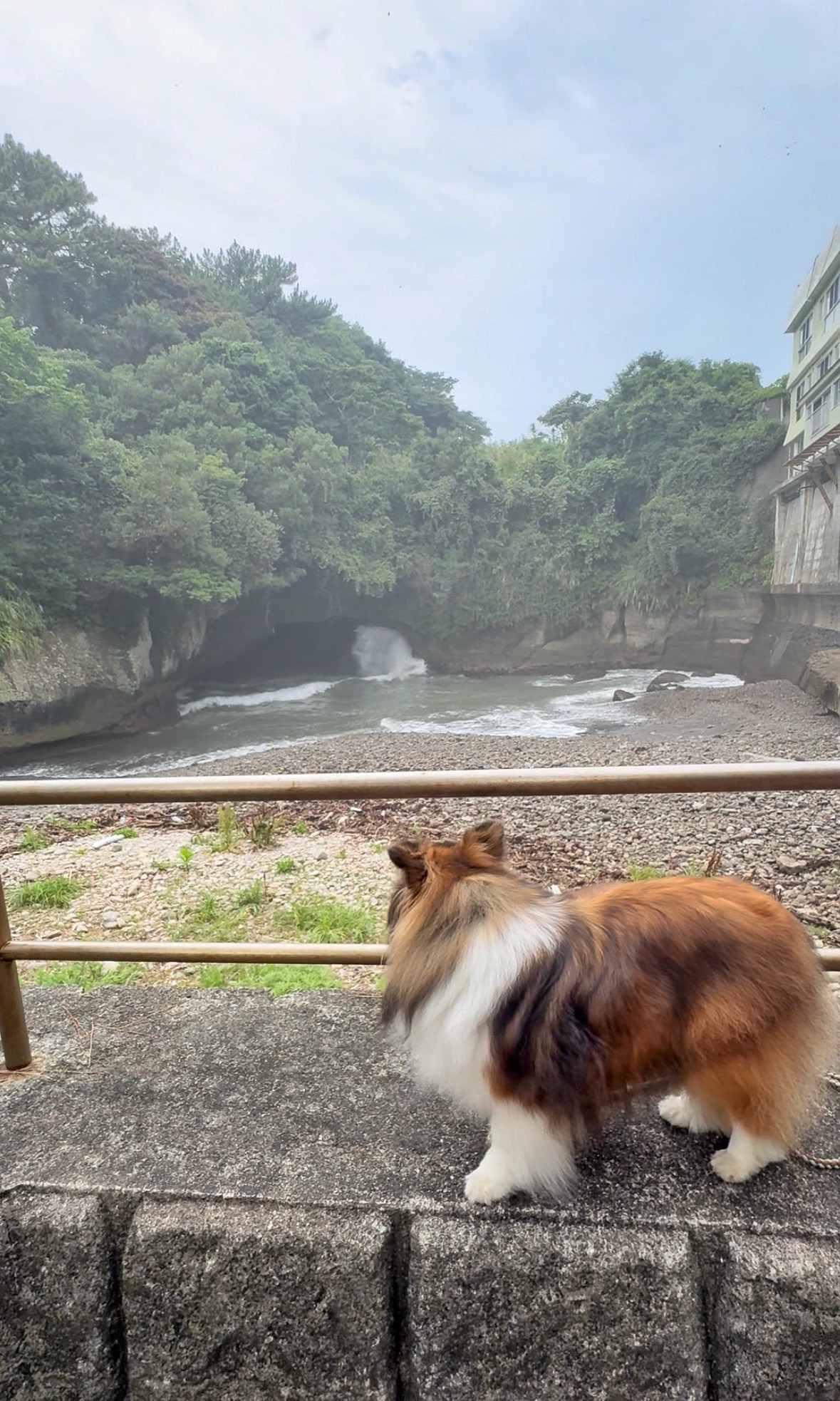 写真詳細 PHOTO DETAIL