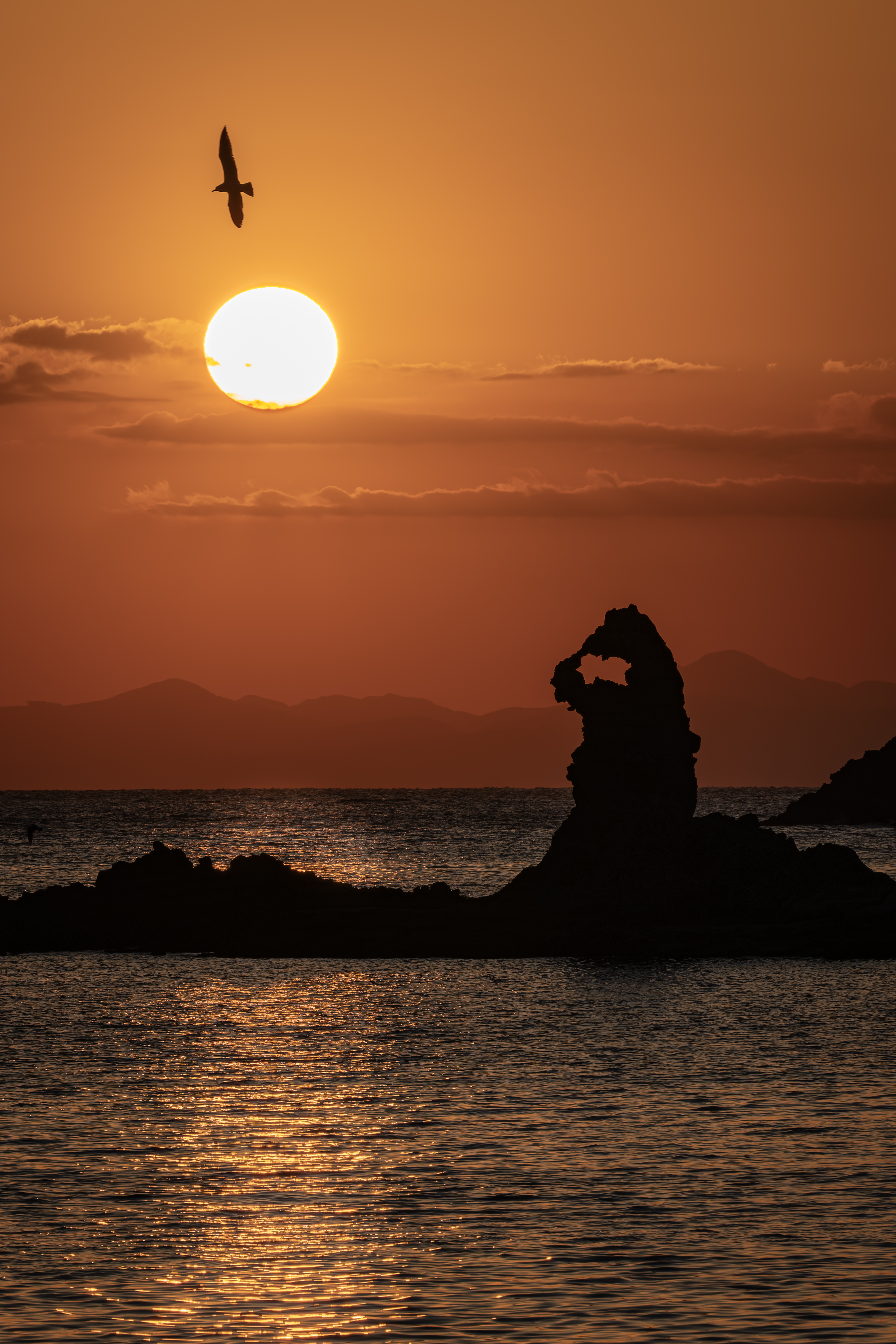 写真詳細 PHOTO DETAIL