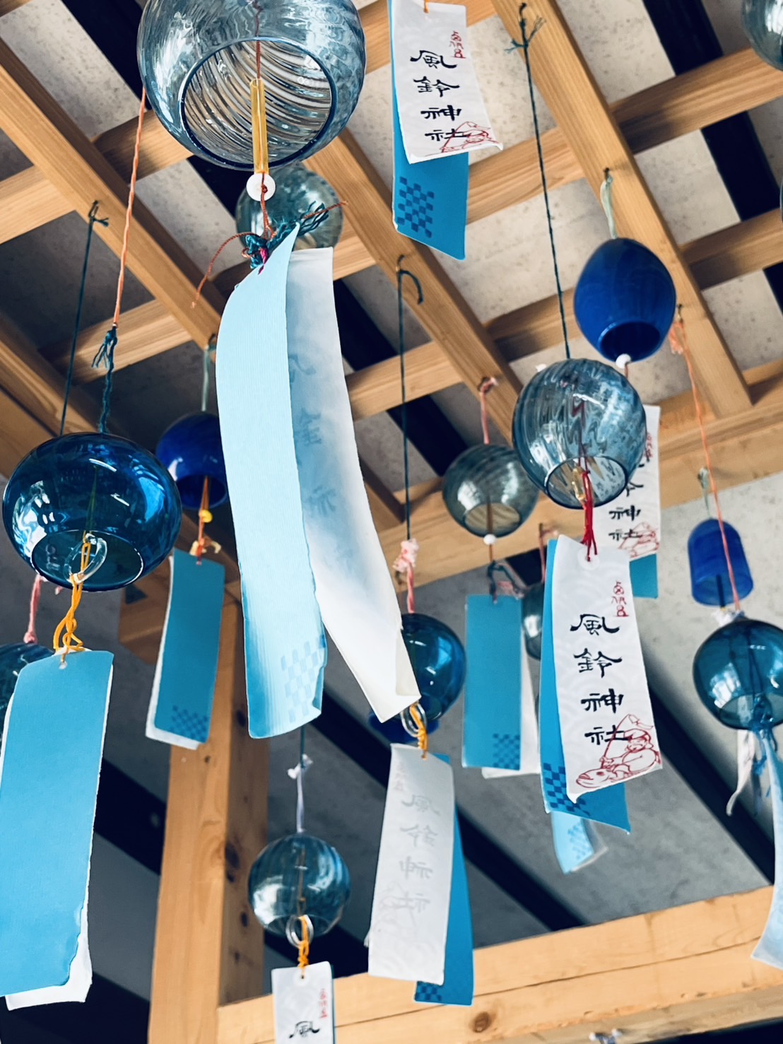 写真詳細 PHOTO DETAIL
